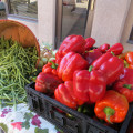 Exploring Shopping Destinations and Markets in Delaware, Ohio